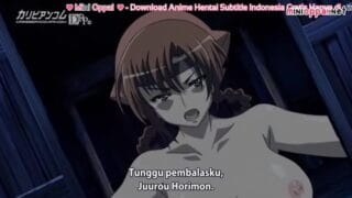 Samurai Hormone The Animation Episode 01 Subtitle Indonesia